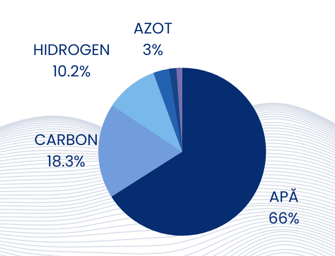 Pie chart apa corp uman 2